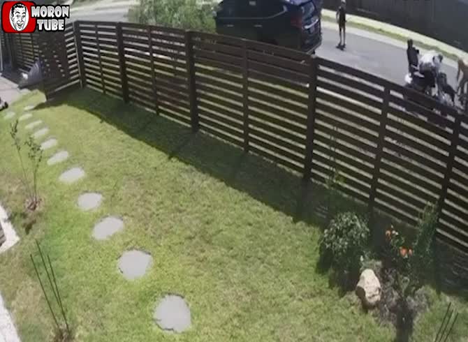 Video :The courts convict her when her dog assaults a crippled guy (Video)